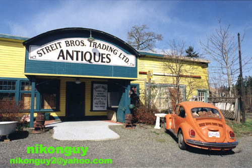 Antique Store, Duncan